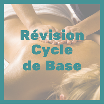 vignette révision cycle de base - ecole de massage sensitif belge